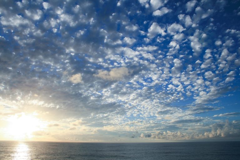 天気のことわざ、ひつじ雲が出ると翌日は…?|お天気検定 なんでも情報局